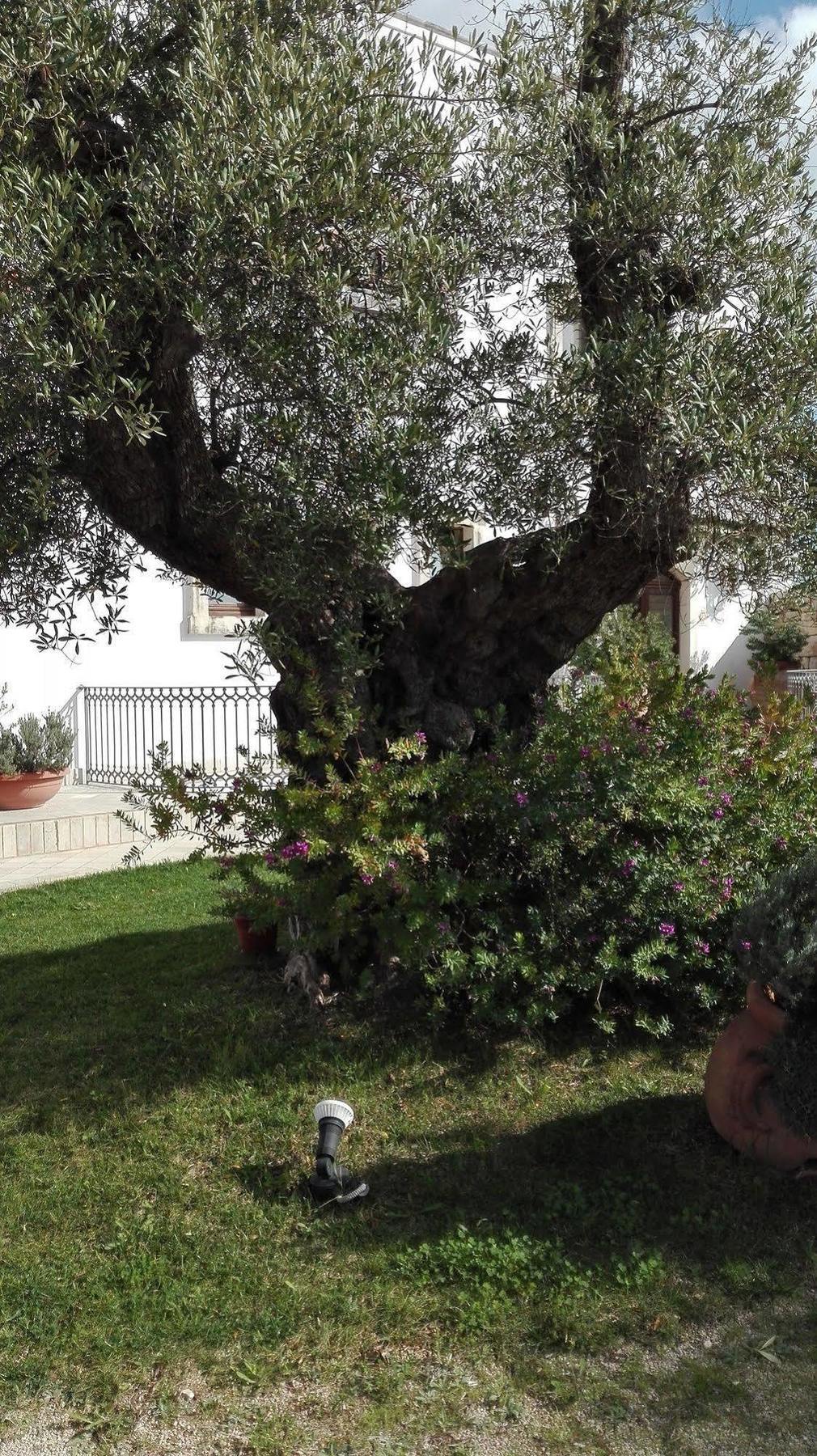Relais Sant'eligio Hotel